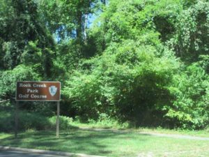RTEC_Government Tree Service 6