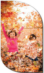 tree service bethesda md 1