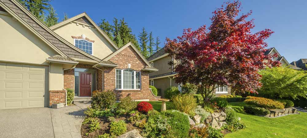 luxury house with deer deterrent and management protecting trees