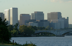 Emergency Tree Service Arlington Va