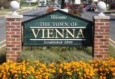 Tree Removal Vienna, Va