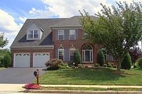 Tree Removal Springfield Va