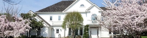 Emergency Tree Service Reston, Va