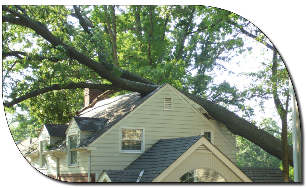 emergency tree removal service, tree fallen on house