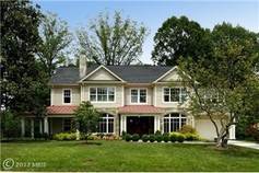 Emergency Tree Service Alexandria, Va
