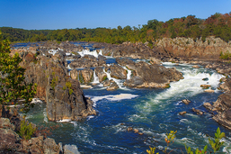 Tree Removal Great Falls Va