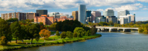 Tree Removal Northern Virginia