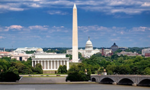 Tree Removal Washington DC